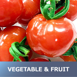VEGETABLE＆FRUIT